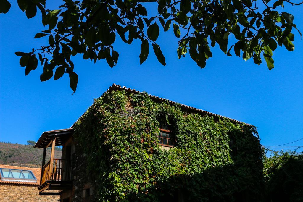 Alvoco das Várzeas Casa De Baixo - Nature Hotel חדר תמונה