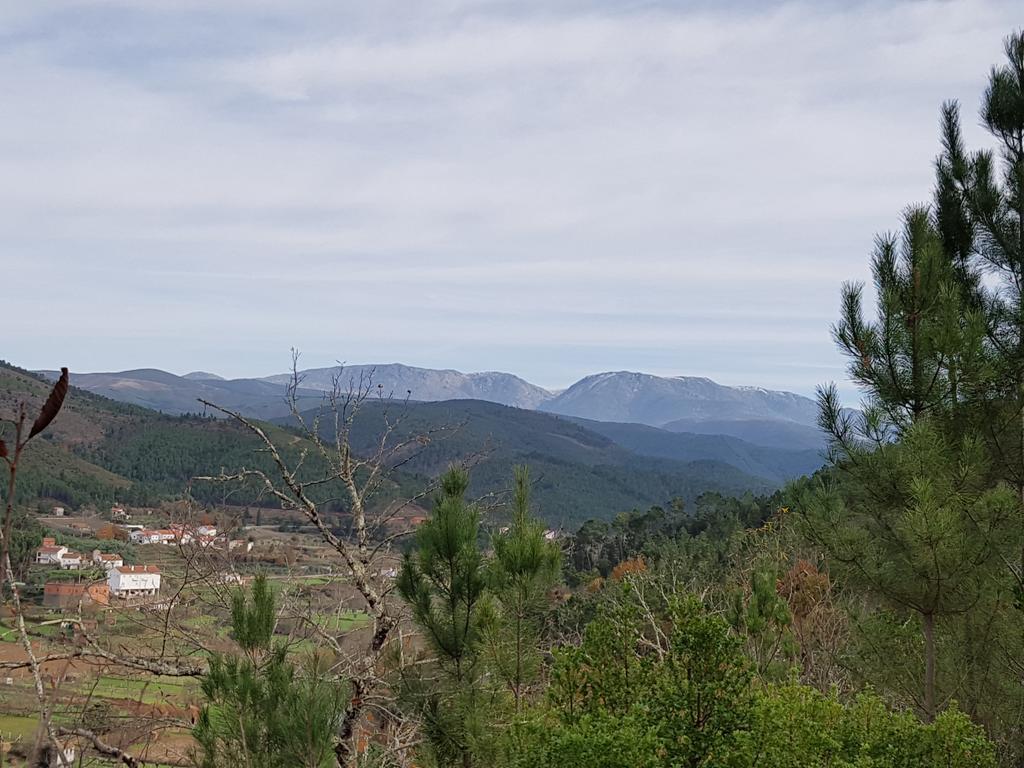 Alvoco das Várzeas Casa De Baixo - Nature Hotel מראה חיצוני תמונה